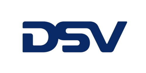 DSV Logo